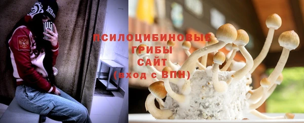 ГАЛЛЮЦИНОГЕННЫЕ ГРИБЫ Абдулино